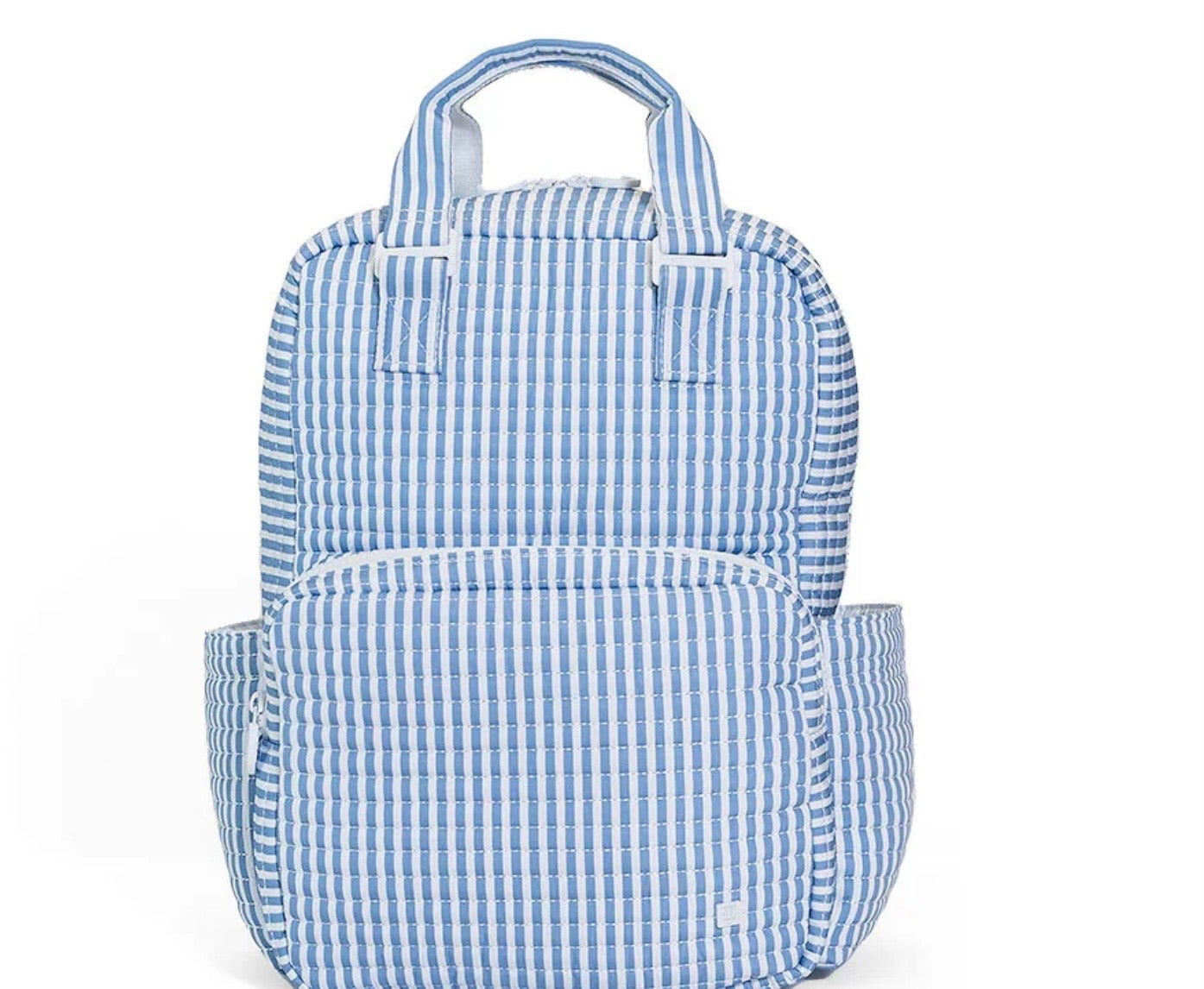 Pimlico Stripe Chambray Quilted All You Need Bag TRVL